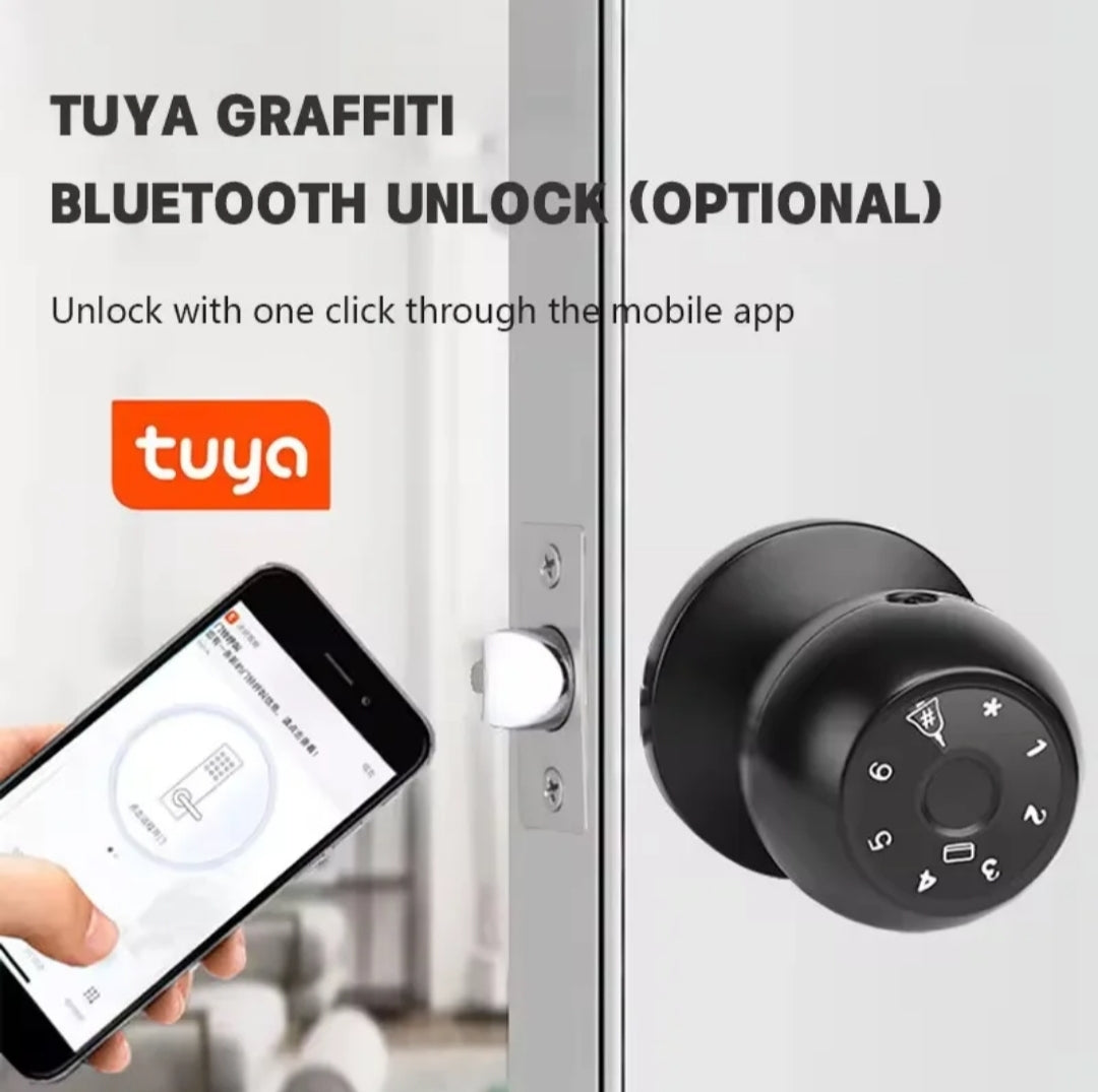 Smart Lock for Home