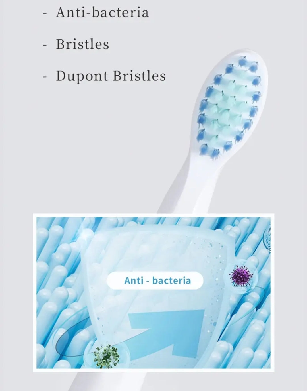 Electric Toothbrush with 2 Brush Heads
