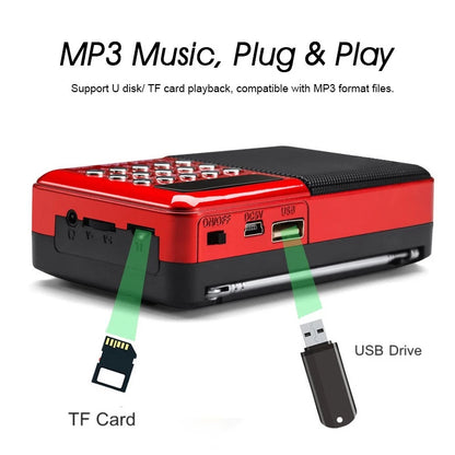 Gurbani Radio (Mini) (4GB)