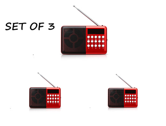 Gurbani Radio (Mini) - Set of 3