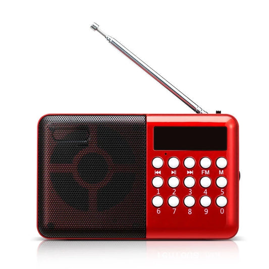 Gurbani Radio (Mini) (4GB)